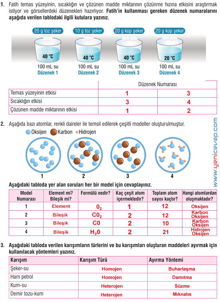 7. Sınıf Fen Bilimleri Kitabı Sayfa 127 128 129 130 134 137 139 140 Cevapları Meb
