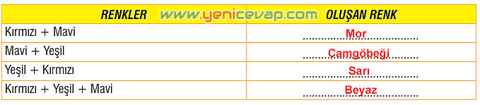 7. Sınıf Fen Bilimleri Kitabı Sayfa 141 142 143 144 146 148 149 150 Cevapları Meb