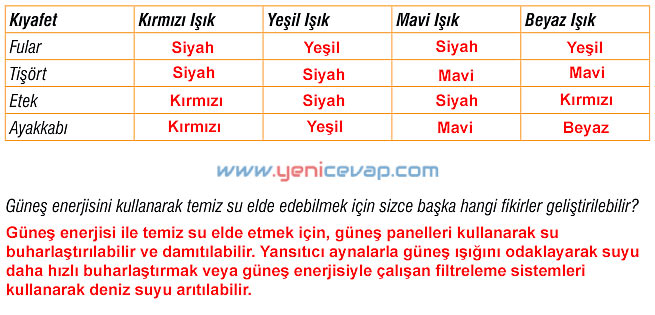 7. Sınıf Fen Bilimleri Kitabı Sayfa 151 155 156 159 161 162 163 164 Cevapları Meb
