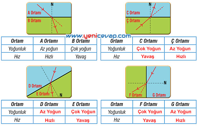 7. Sınıf Fen Bilimleri Kitabı Sayfa 166 167 169 170 172 173 Cevapları Meb
