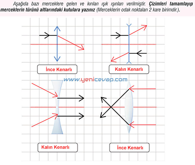 7. Sınıf Fen Bilimleri Kitabı Sayfa 166 167 169 170 172 173 Cevapları Meb