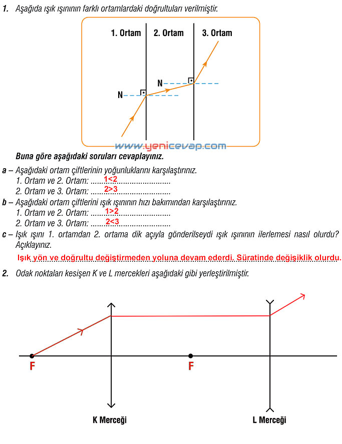 7. Sınıf Fen Bilimleri Kitabı Sayfa 166 167 169 170 172 173 Cevapları Meb
