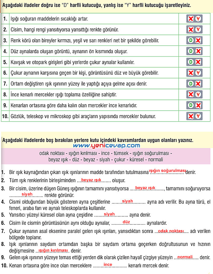 7. Sınıf Fen Bilimleri Kitabı Sayfa 175 176 177 178 180 185 186 Cevapları Meb