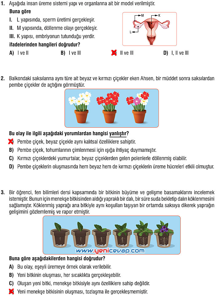 7. Sınıf Fen Bilimleri Kitabı Sayfa 201 202 204 205 206 208 209 211 212 Cevapları Meb