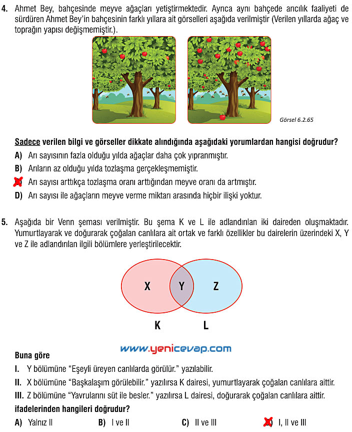 7. Sınıf Fen Bilimleri Kitabı Sayfa 201 202 204 205 206 208 209 211 212 Cevapları Meb