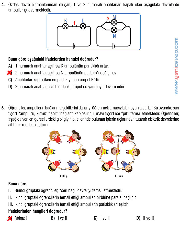 7. Sınıf Fen Bilimleri Kitabı Sayfa 213 214 216 217 218 219 220 Cevapları Meb