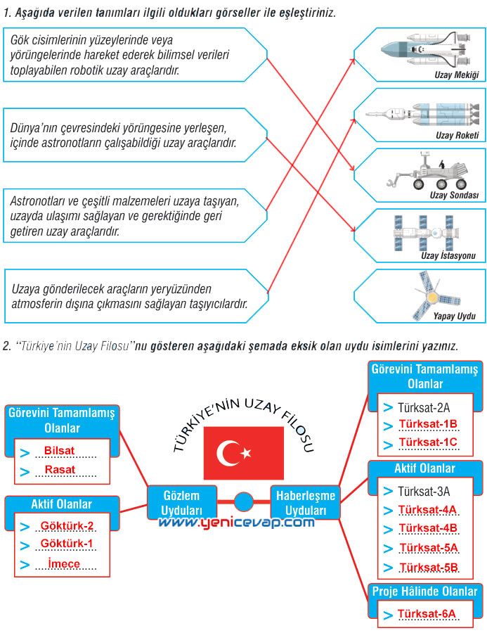 7. Sınıf Fen Bilimleri Kitabı Sayfa 19 22 26 29 39 41 42 43 44 Cevapları Meb