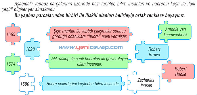 7. Sınıf Fen Bilimleri Kitabı Sayfa 46 47 50 51 52 53 54 55 56 61 Cevapları Meb
