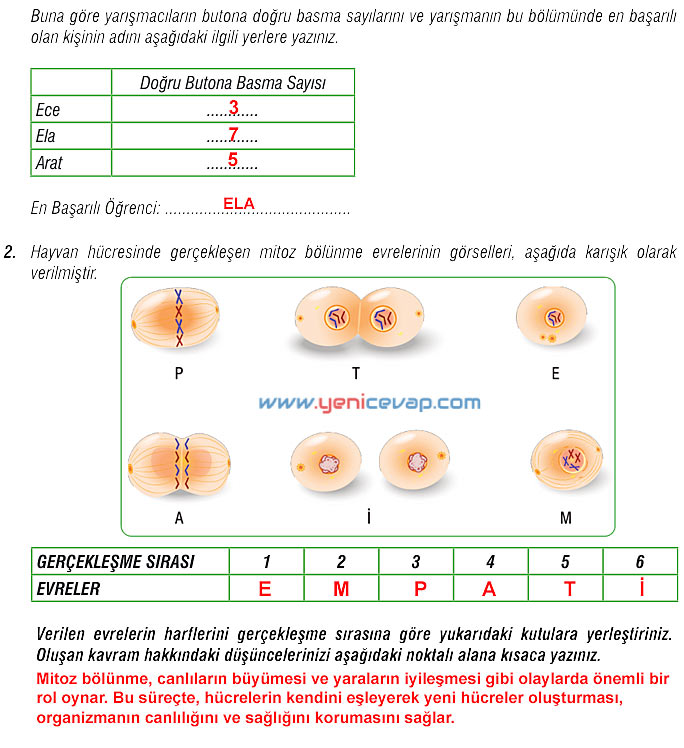 7. Sınıf Fen Bilimleri Kitabı Sayfa 46 47 50 51 52 53 54 55 56 61 Cevapları Meb
