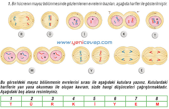 7. Sınıf Fen Bilimleri Kitabı Sayfa 62 63 64 66 67 68 69 Cevapları Meb