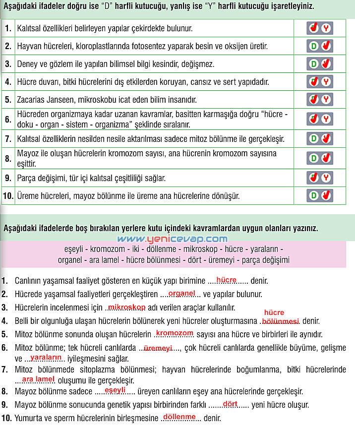 7. Sınıf Fen Bilimleri Kitabı Sayfa 62 63 64 66 67 68 69 Cevapları Meb