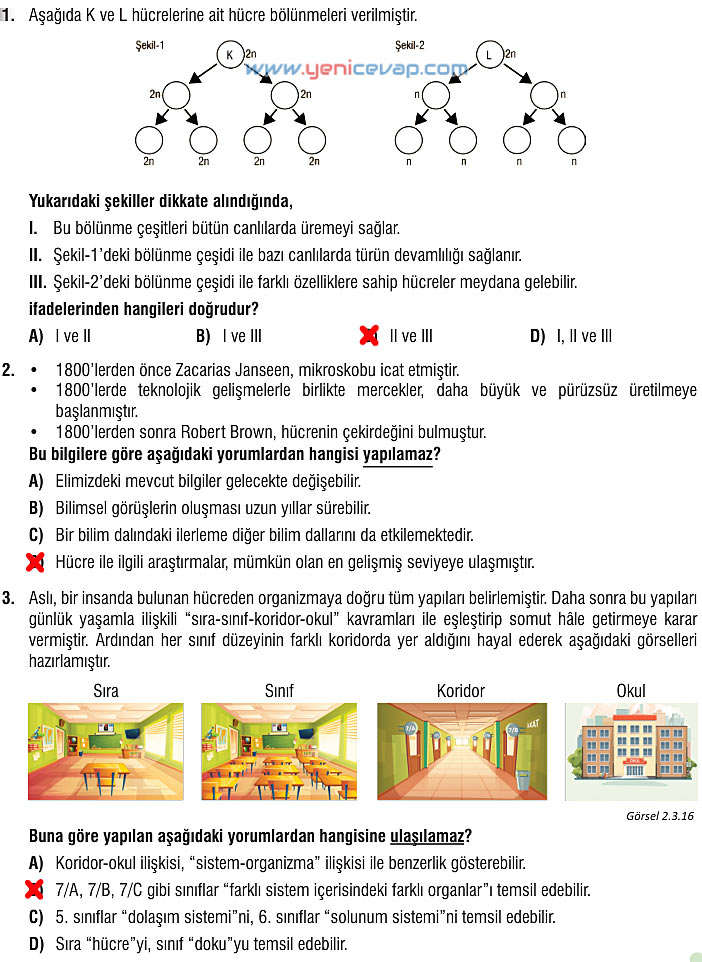7. Sınıf Fen Bilimleri Kitabı Sayfa 70 71 72 75 76 77 79 Cevapları Meb
