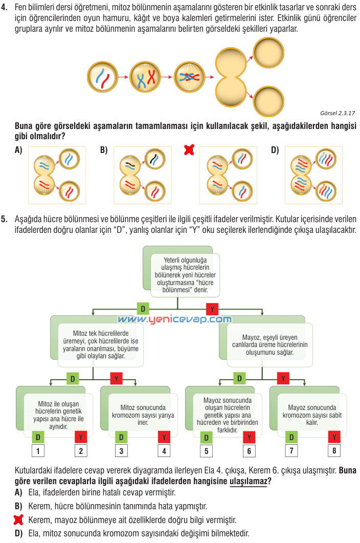 7. Sınıf Fen Bilimleri Kitabı Sayfa 70 71 72 75 76 77 79 Cevapları Meb