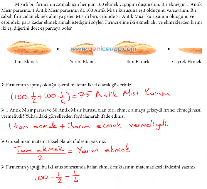 7. Sınıf Matematik Kitabı Sayfa 56 57 58 59 65 66 Cevapları Meb