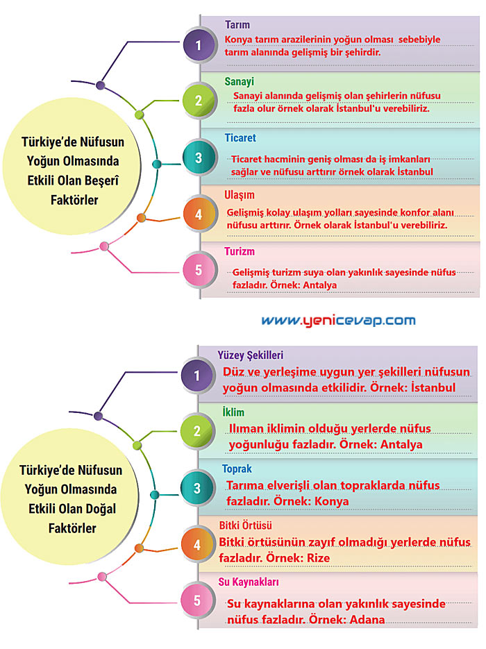7. Sınıf Sosyal Bilgiler Kitabı Sayfa 125 127 128 129 130 131 132 133 134 135 Cevapları Yıldırım