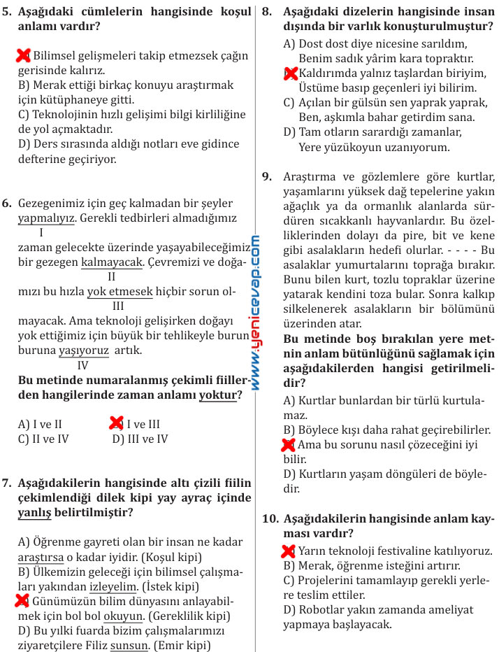 7. Sınıf Türkçe Kitabı Sayfa 101 104 105 106 110 112 113 114 Cevapları Meb