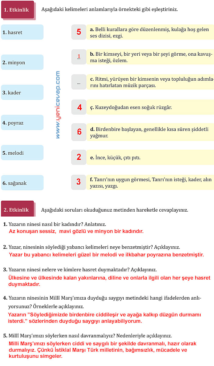 7. Sınıf Türkçe Kitabı Sayfa 151 152 154 155 156 157 158 160 Cevapları Meb