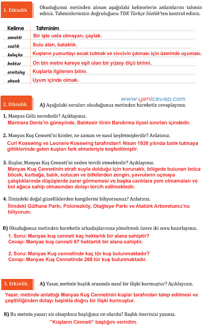 7. Sınıf Türkçe Kitabı Sayfa 172 173 176 178 179 181 182 Cevapları Meb