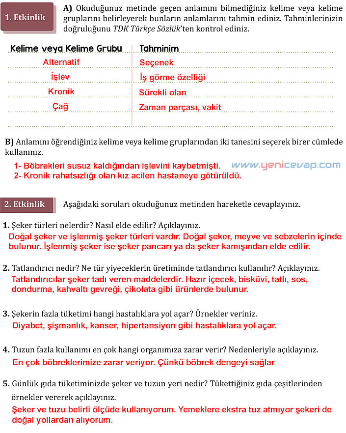 7. Sınıf Türkçe Kitabı Sayfa 204 206 208 209 210 211 212 214 215 216 217 Cevapları Meb