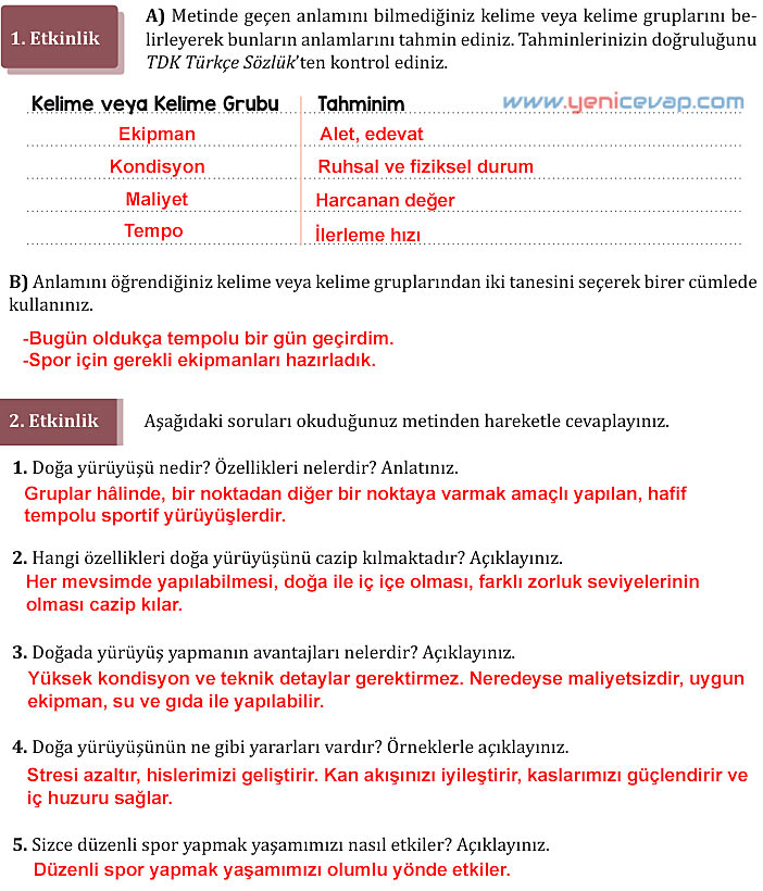 7. Sınıf Türkçe Kitabı Sayfa 204 206 208 209 210 211 212 214 215 216 217 Cevapları Meb