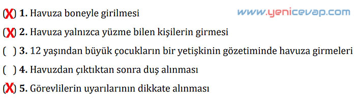 7. Sınıf Türkçe Kitabı Sayfa 227 228 229 232 233 236 237 Cevapları Meb