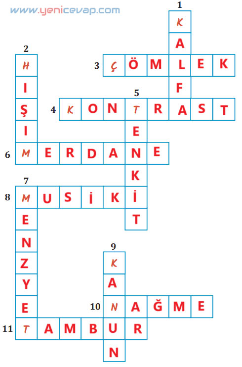 7. Sınıf Türkçe Kitabı Sayfa 238 240 241 242 244 245 246 247 Cevapları Meb