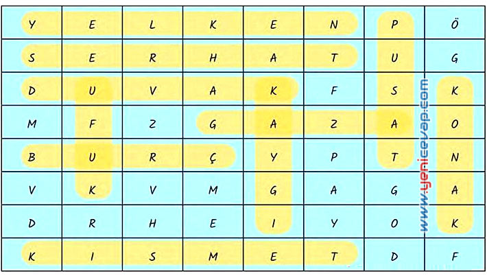 7. Sınıf Türkçe Kitabı Sayfa 48 50 51 52 53 54 56 57 58 Cevapları Meb