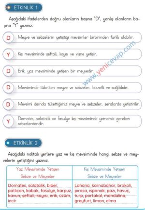 3. Sınıf Hayat Bilgisi Kitabı Sayfa 99 101 102 104 Cevapları Meb