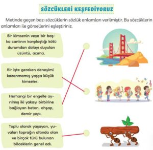 3. Sınıf Türkçe Kitabı Sayfa 98 101 102 Cevapları Meb