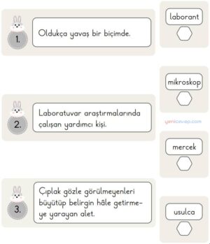 Bulalım Karar Verelim