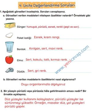 3. Sınıf Fen Bilimleri Kitabı Sayfa 106 107 110 111 Cevapları Meb