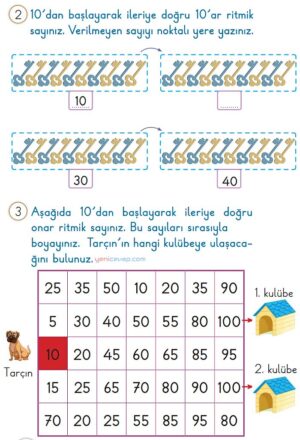 10 Katları Ritmik