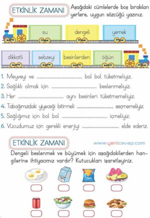 2. Sınıf Hayat Bilgisi Kitabı Sayfa 114 115 117 118 Cevapları Meb
