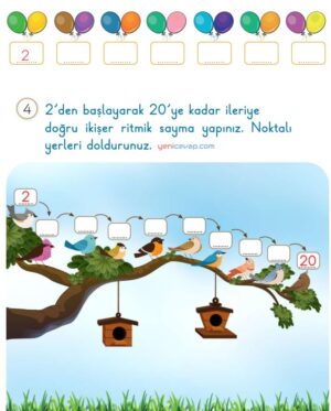 Sayıları Ritmik Yaz