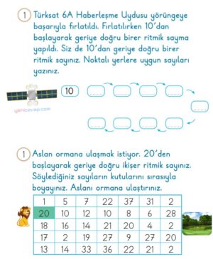 Sayıları Ritmik Yaz