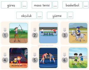 Spor Dalları