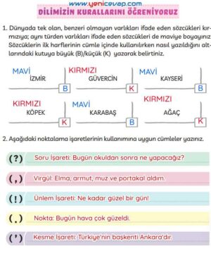 3. Sınıf Türkçe Kitabı Sayfa 131 132 133 Cevapları Meb