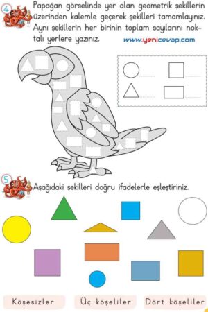 2. Sınıf Matematik Ders Kitabı Sayfa 137 141 143 144 Cevapları Meb