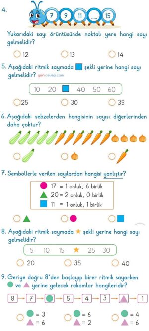 2. Tema Değerlendirme Testi
