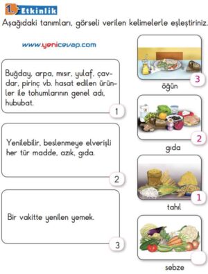 2. Sınıf Türkçe Kitabı Sayfa 141 142 143 144 Cevapları Meb