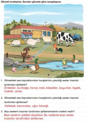 3. Sınıf Fen Bilimleri Kitabı Sayfa 141 142 144 145 147 Cevapları Meb