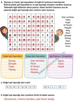 3. Sınıf Fen Bilimleri Kitabı Sayfa 148 149 150 151 Cevapları Meb