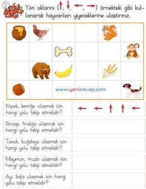 2. Sınıf Matematik Ders Kitabı Sayfa 146 147 149 150 Cevapları Meb
