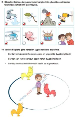 3. Sınıf Fen Bilimleri Kitabı Sayfa 152 153 156 160 Cevapları Meb