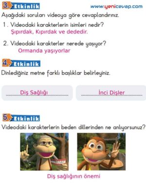 2. Sınıf Türkçe Kitabı Sayfa 152 153 154 157 Cevapları Meb