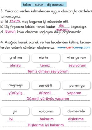 2. Sınıf Türkçe Kitabı Sayfa 158 159 165 166 Cevapları Meb