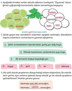 3. Sınıf Türkçe Kitabı Sayfa 16 17 18 Cevapları Meb