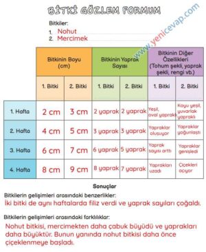 3. Sınıf Fen Bilimleri Kitabı Sayfa 163 164 165 167 Cevapları Meb