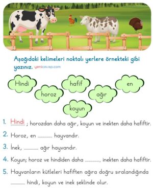 Ağırlık Kavramı