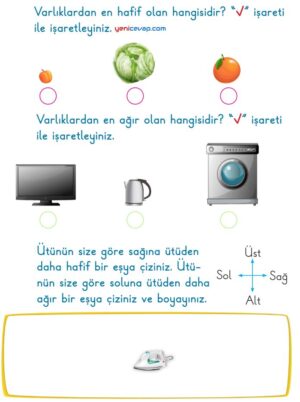 Ağırlık Kavramı